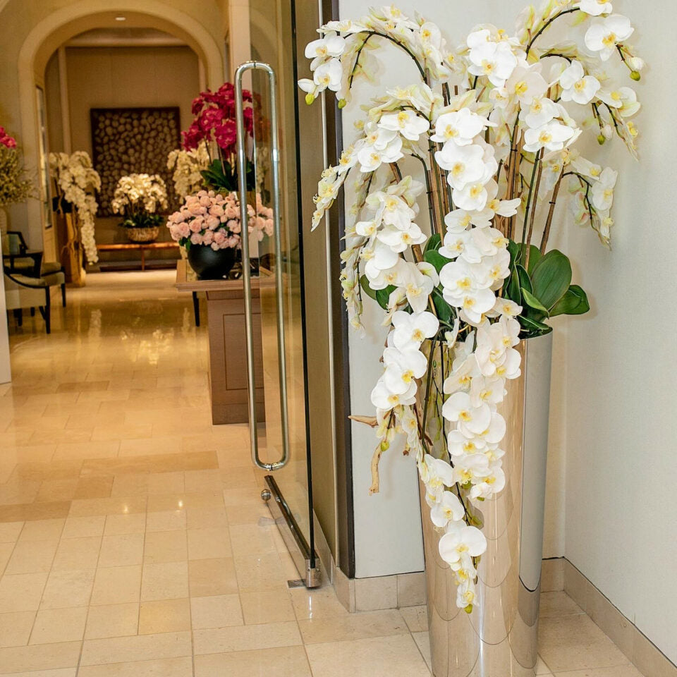 Phalaenopsis Orchids in Cascading Polished Stainless Steel Cone Planter – Evervale