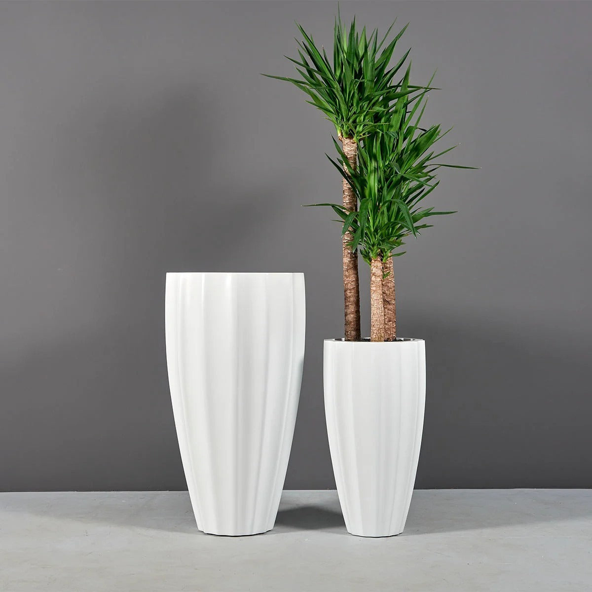 San Jose Ribbed Planter – Evervale