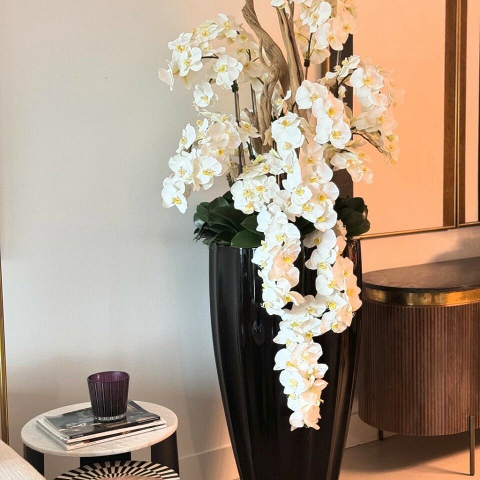 Glossy Black San Jose Vase with Cascading White Orchids – Evervale