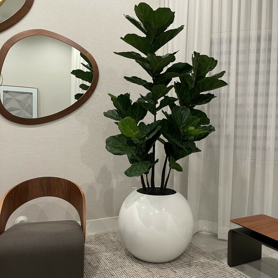 White Globe Vase 30" with Fiddle Tree – Evervale