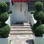 Triple Ball Topiary with Medium Block Fiberglass Planter – Evervale