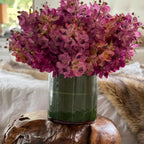 Mixed Mokara Orchids in Large Rota Cylinder – Evervale