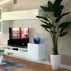 2.7 m Bird of Paradise Plant with Ben Planter in Glossy White – Evervale