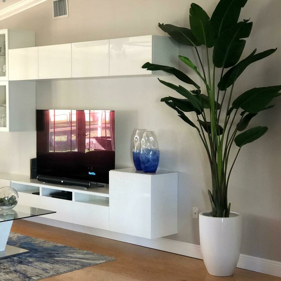 9-Foot Bird of Paradise with Glossy White Planter – Evervale
