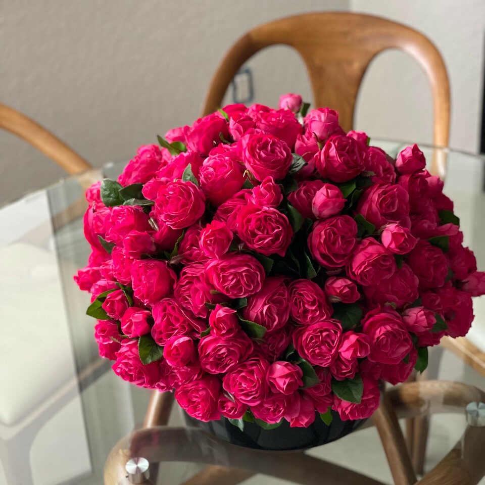 Dark Pink English Roses in Black Glass Vase – Evervale