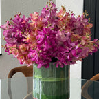 Mixed Mokara Orchids in Large Rota Cylinder – Evervale