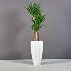 San Jose Ribbed Planter – Evervale