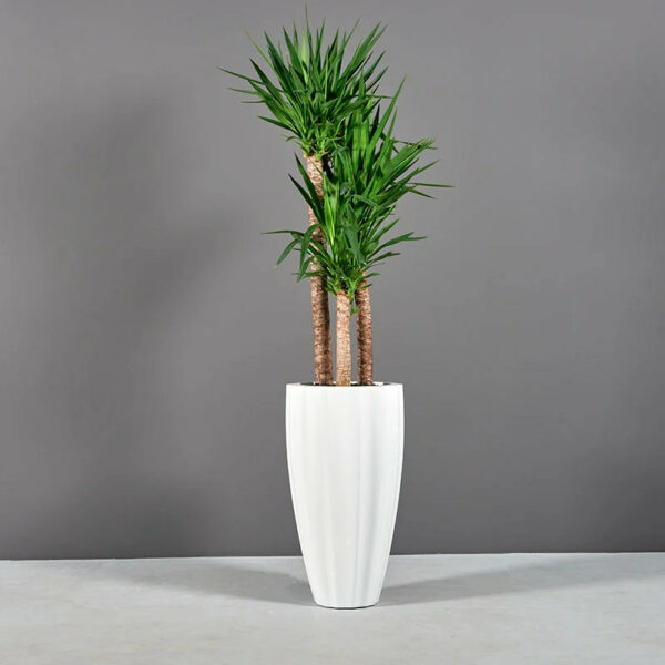 San Jose Ribbed Planter – Evervale