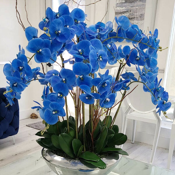 Avenue Bowl with Blue Phalaenopsis Orchids – Evervale
