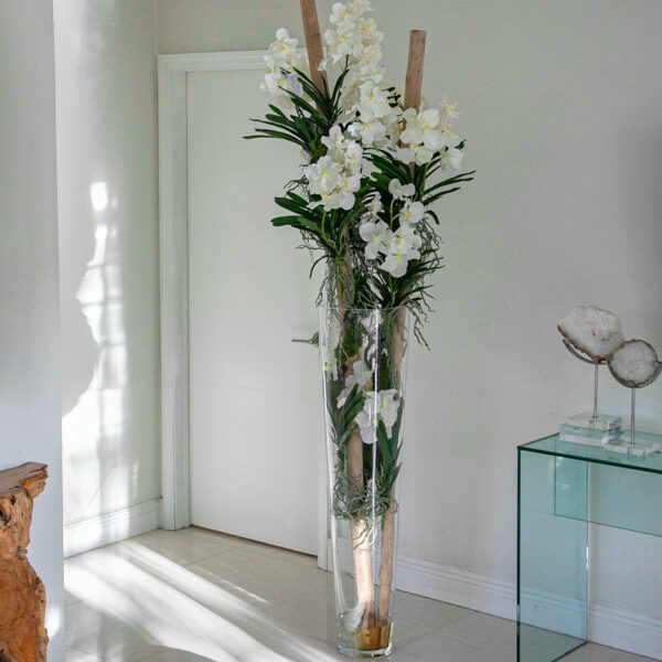 White Vanda Orchids with Driftwood in a Large Conical Glass Cylinder – Evervale