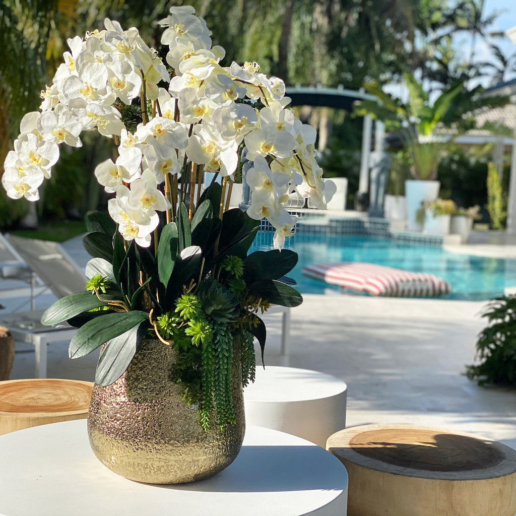 Delaney Vase in Gold with Multiple Phalaenopsis Orchid Stems and Succulents – Evervale