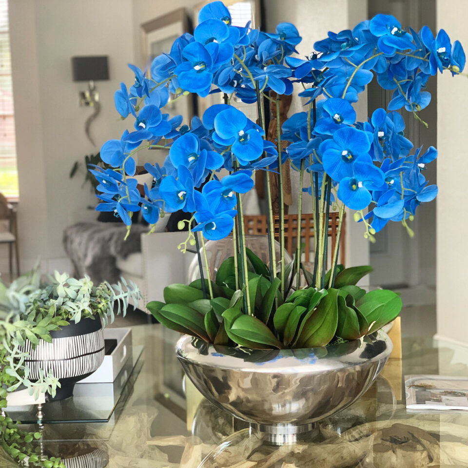 Bowl Avenue with Blue Phalaenopsis Orchids – Evervale