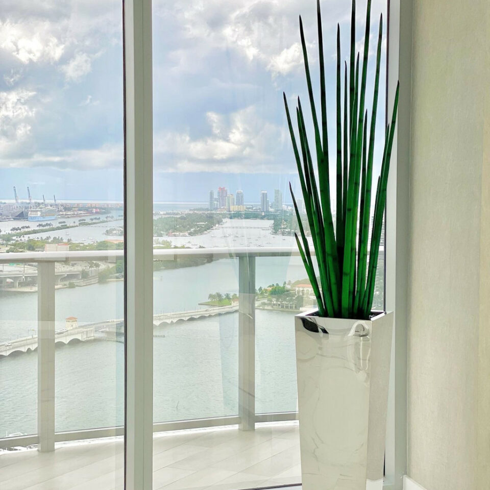 Stainless Steel Cube Planter with Snake Grass – Evervale