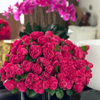 Dark Pink English Roses in Black Glass Vase – Evervale