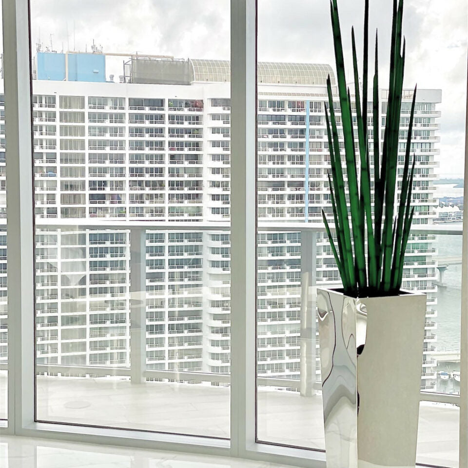 Stainless Steel Cube Planter with Snake Grass – Evervale