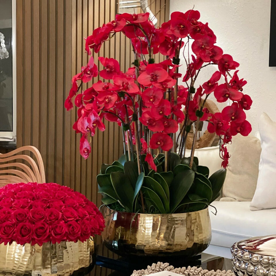 Red Phalaenopsis Orchids in Medium Gold Pot – Evervale