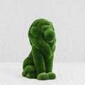 Sitting Lion Topiary – Evervale