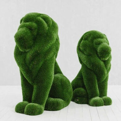 Sitting Lion Topiary – Evervale