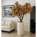 Beige Magnolia Tree in Pot St. Tr. Glossy White Release – Evervale