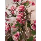Pink Magnolia Tree in St. Tropez Pot in Radiant White – Evervale