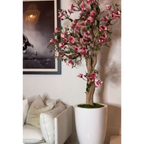 Pink Magnolia Tree in St. Tropez Pot in Radiant White – Evervale
