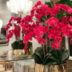 Red Phalaenopsis Orchids in a Medium Gold Pot – Evervale