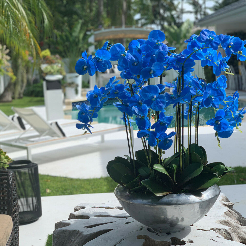 Avenue Bowl with Blue Phalaenopsis Orchids – Evervale