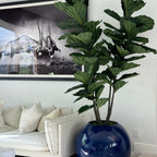 Blue globe vase with fiddle leaf fig – Evervale