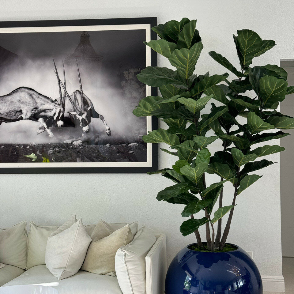 30" Blue Globe Vase with Fiddle Leaf Fig – Evervale