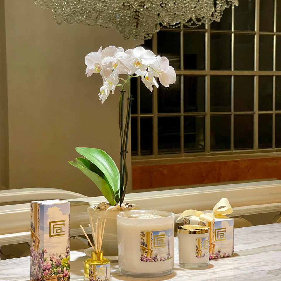 Rendezvous Parisian Reed Diffuser – Evervale