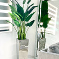 Bird of Paradise Plant (2.1 m) in Stainless Steel Cube Vase – Size M – Evervale
