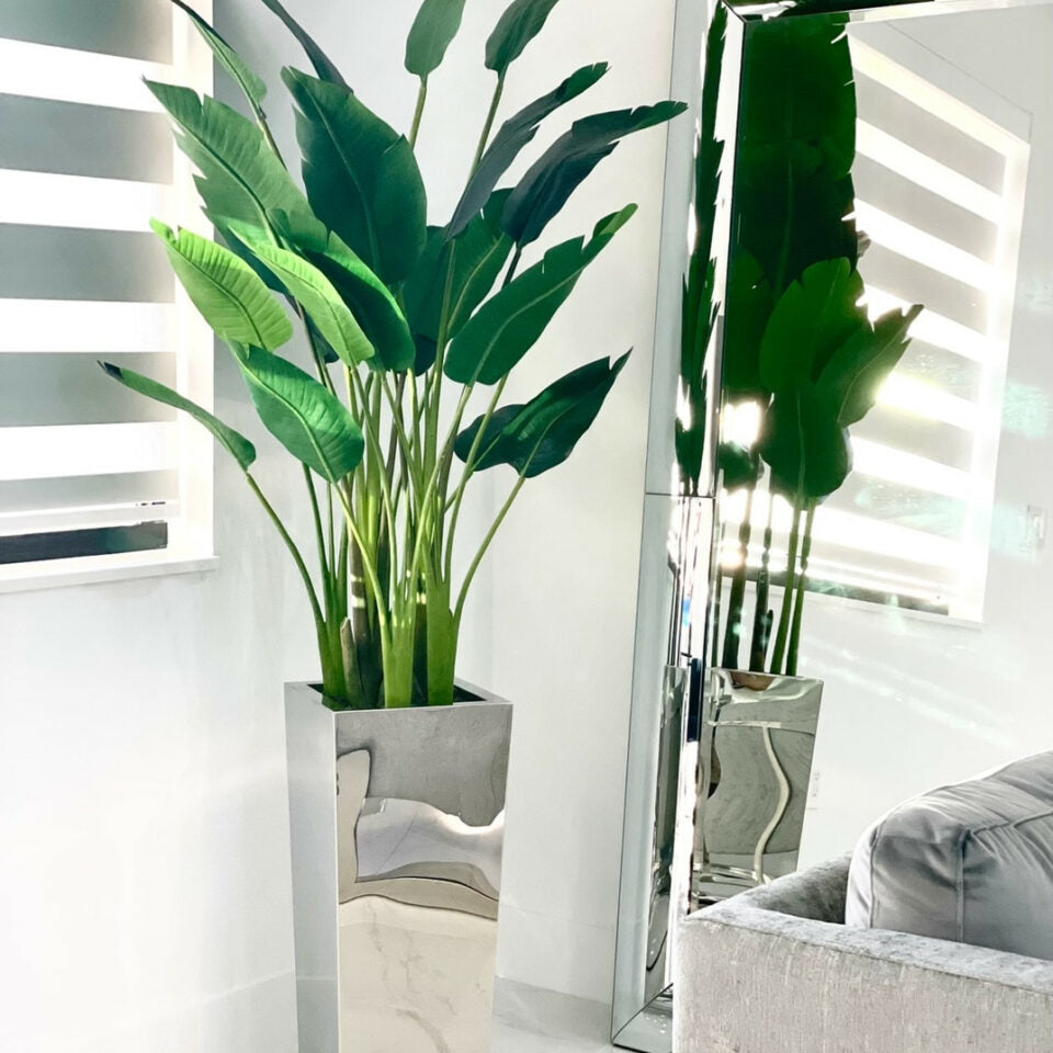 Bird of Paradise Plant (2.1 m) in Stainless Steel Cube Vase – Size M – Evervale