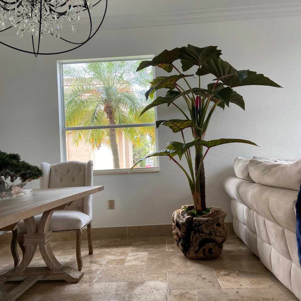Large Teak Wood Bowl with Alocasia Plant – Evervale