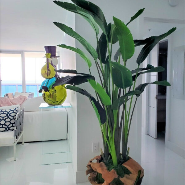Large Vase Made of Teak Wood with Magnificent Strelitzia (Bird of Paradise) – Evervale