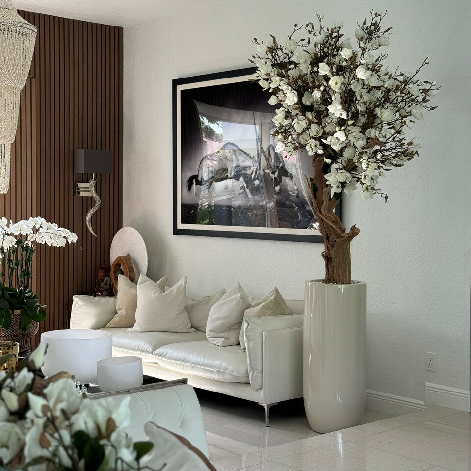 White Magnolia Tree in Pot St. Tropez Bright Beige – Evervale