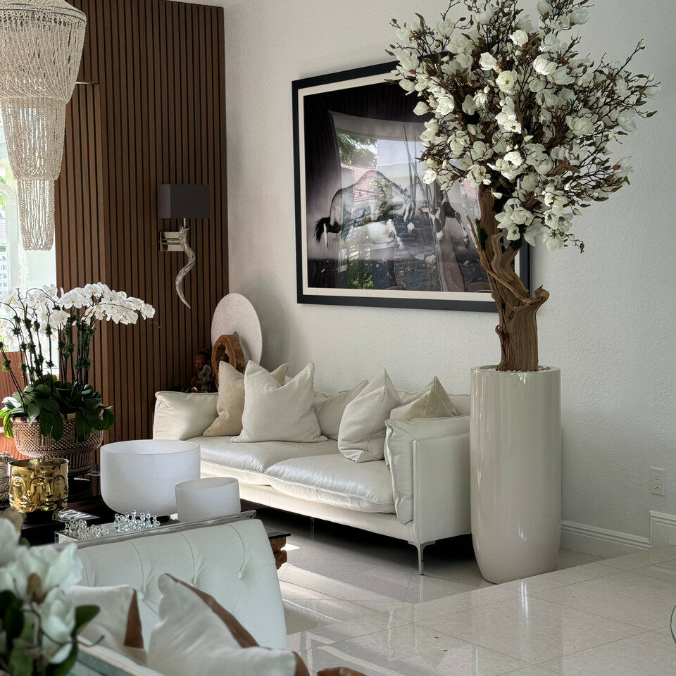 White Magnolia Tree in Pot St. Tropez Bright Beige – Evervale
