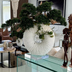 Large Eternity Vase with Hanging Bonsai and Driftwood – Evervale