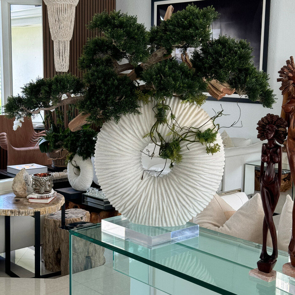 Large Eternity Vase with Hanging Bonsai and Driftwood – Evervale
