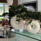 Large Eternity Vase with Hanging Bonsai and Driftwood – Evervale
