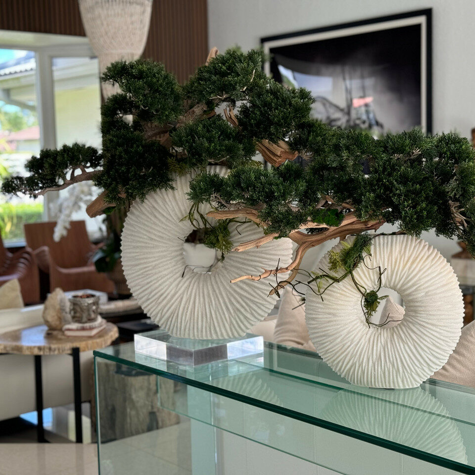 Large Eternity Vase with Hanging Bonsai and Floating Wood – Evervale