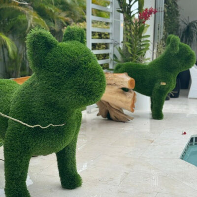French Bulldog Topiary – Evervale