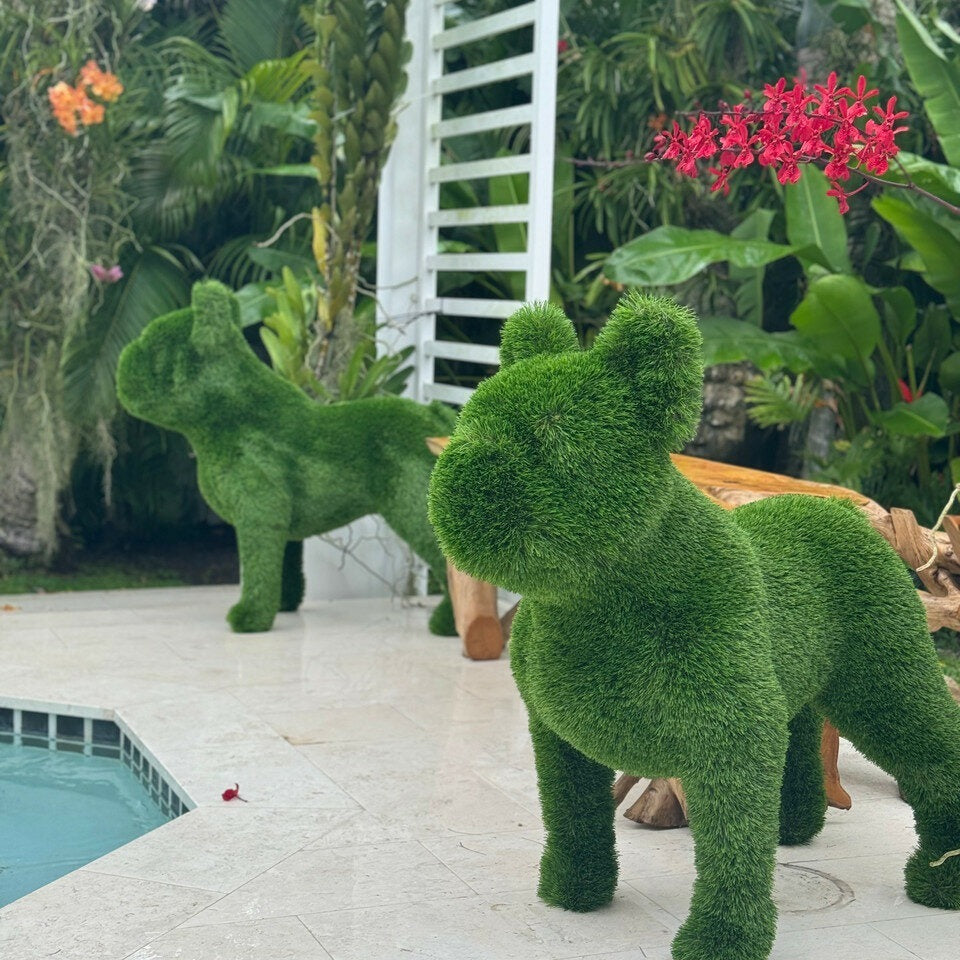 French Bulldog Topiary – Evervale