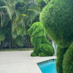 Sitting Lion Topiary – Evervale