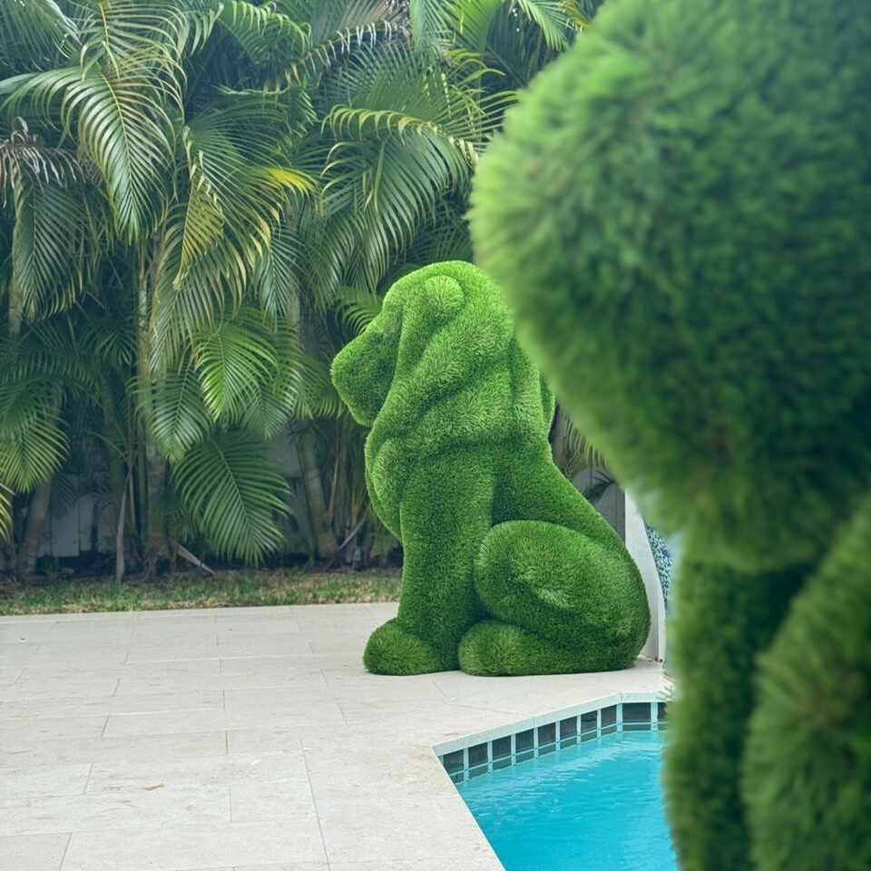 Sitting Lion Topiary – Evervale
