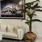 Large Teak Wood Bowl with Alocasia Plant – Evervale