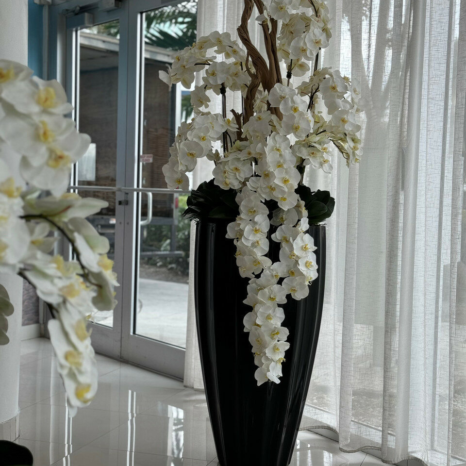 Glossy Black San Jose Vase with Cascading White Orchids – Evervale