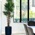 XL Black Pot Palm Tree – Evervale