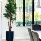 XL Black Pot Palm Tree – Evervale
