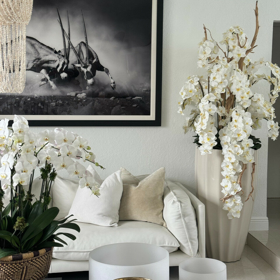 San Jose Vase in sandy Beige with white orchids in waterfall design – Evervale