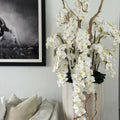 San Jose Beige Sand Vase with White Orchids in Cascade – Evervale